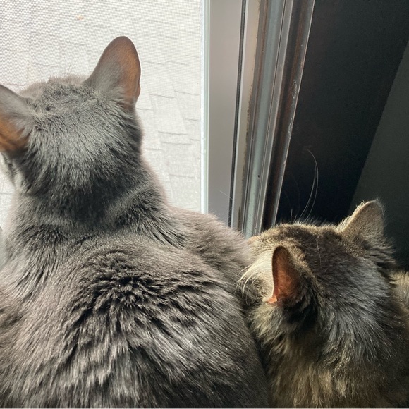 Meet the Posher - Picture 6 of 6